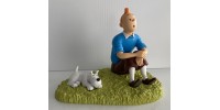 Tintin sitting in the grass